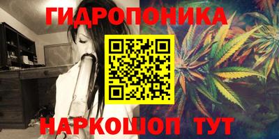 apvp Волжск